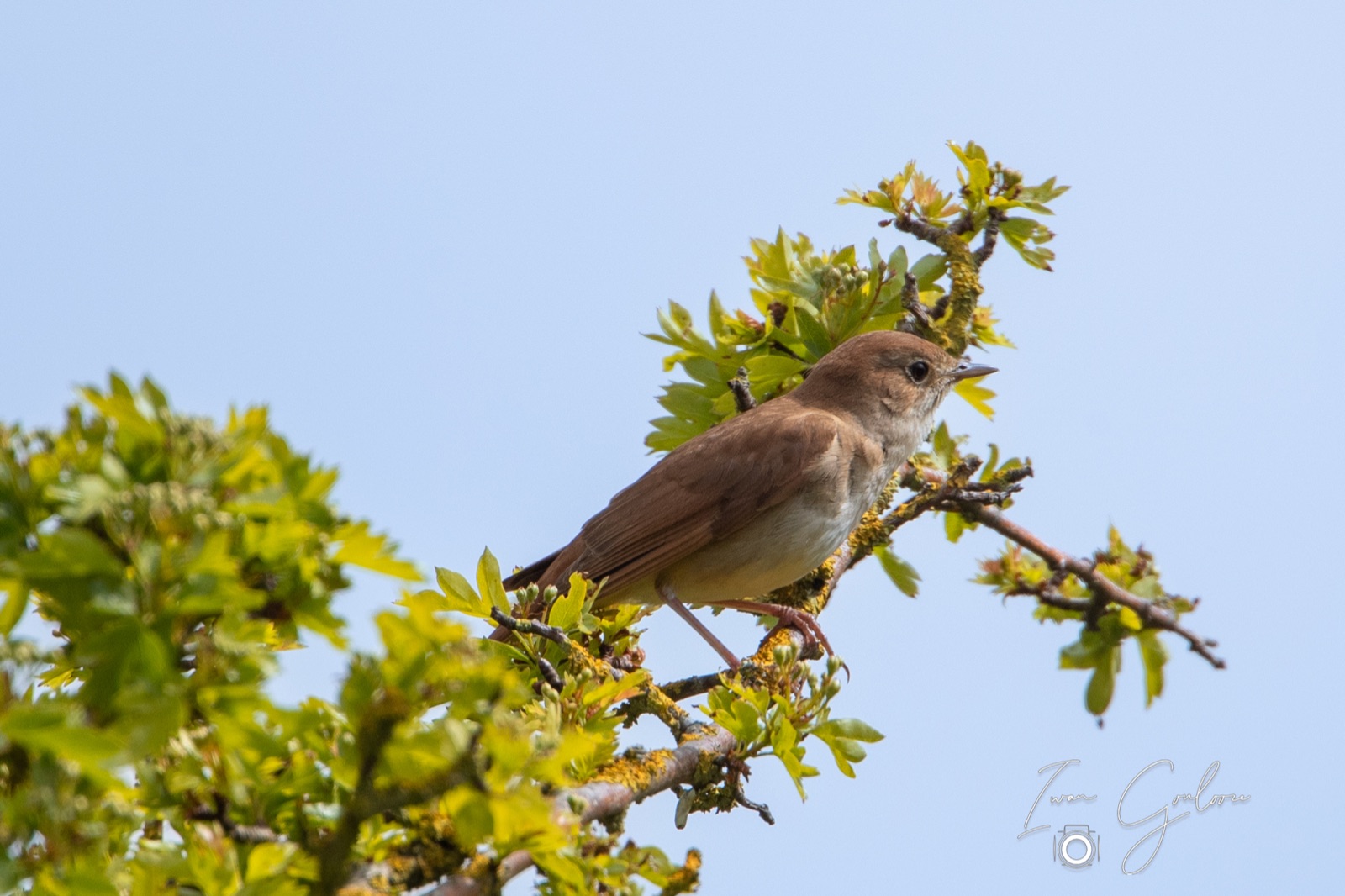 07 mei 2022 152457 1DX42274